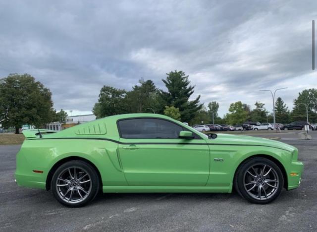 Ford Mustang image 4