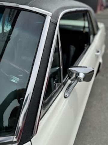 Ford Mustang image 7