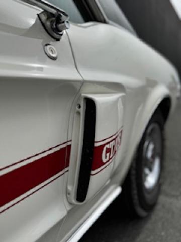 Ford Mustang image 1