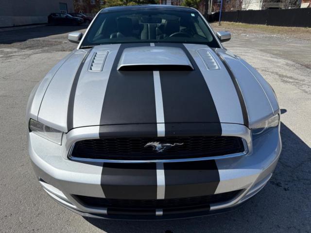 Ford Mustang image 9