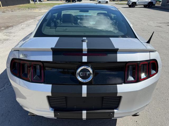 Ford Mustang image 3