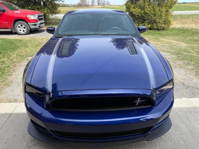 Ford Mustang image 6