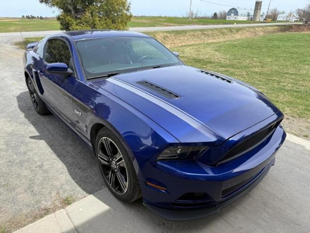 Ford Mustang image 4