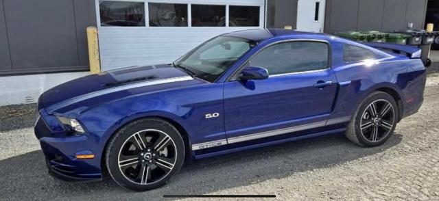 Ford Mustang image 5