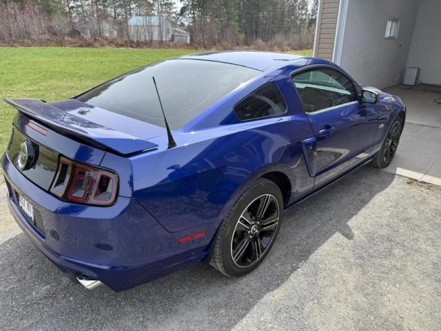 Ford Mustang image 2