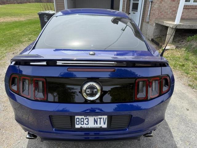 Ford Mustang image 1