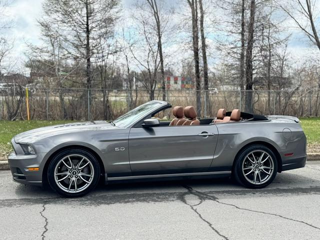 Ford Mustang Convertible image 3