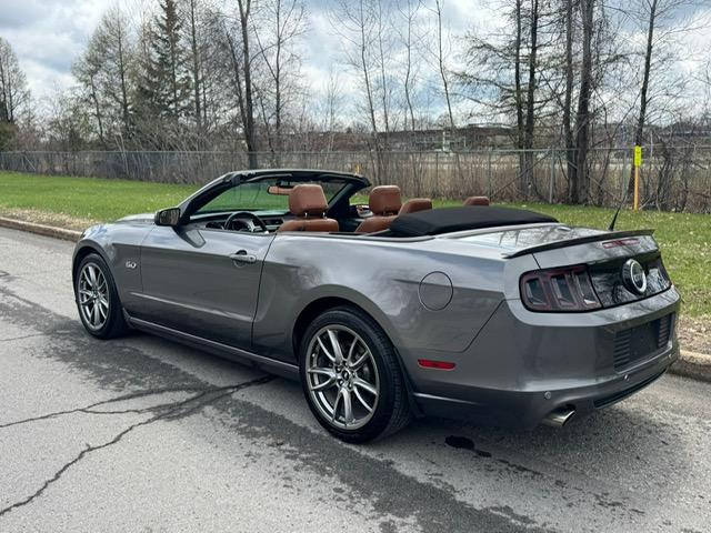 Ford Mustang Convertible image 5