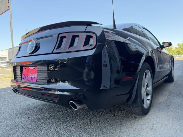 Ford Mustang image 1