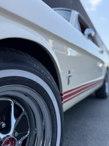 Ford Mustang image 5