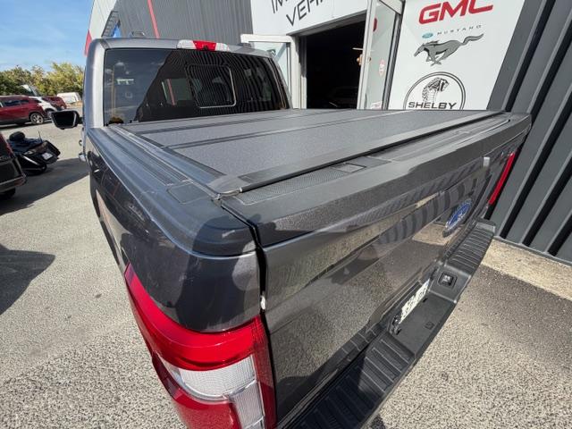 Ford F 150 image 3