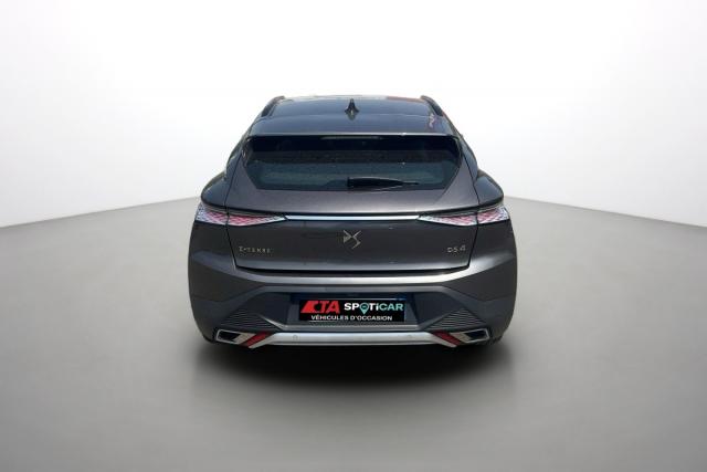 Ds Ds 4 image 6