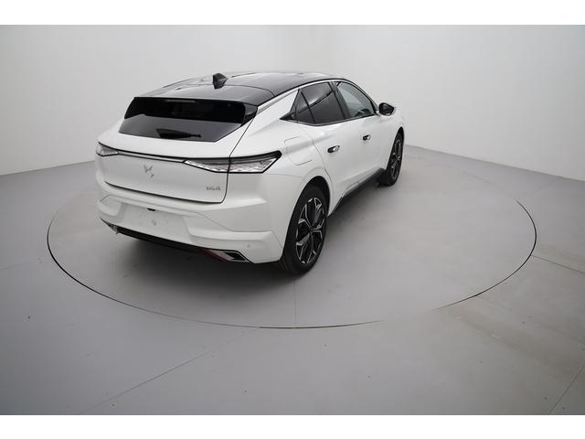 Ds Ds 4 image 4