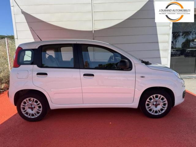 Fiat Panda image 2