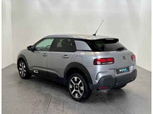 C4 Cactus image 4