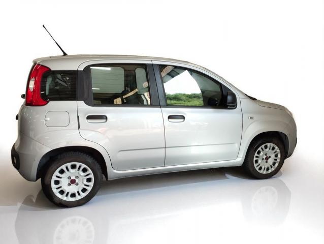 Fiat Panda image 2