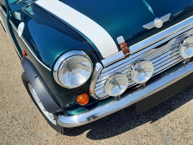 Rover Mini image 4