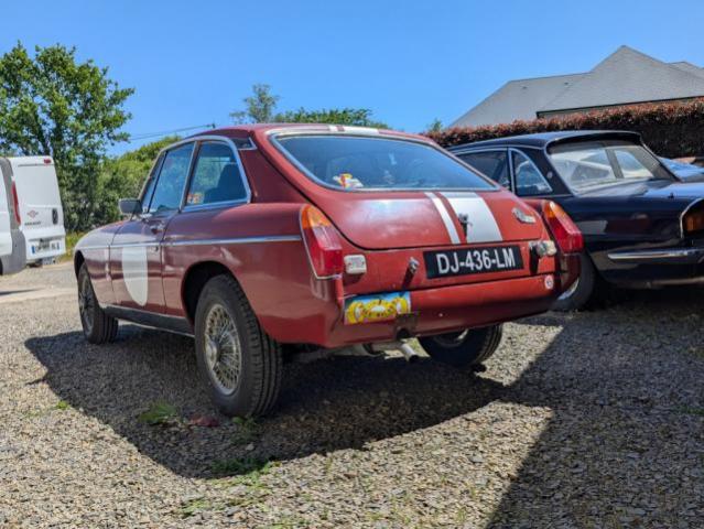 Mg B image 5