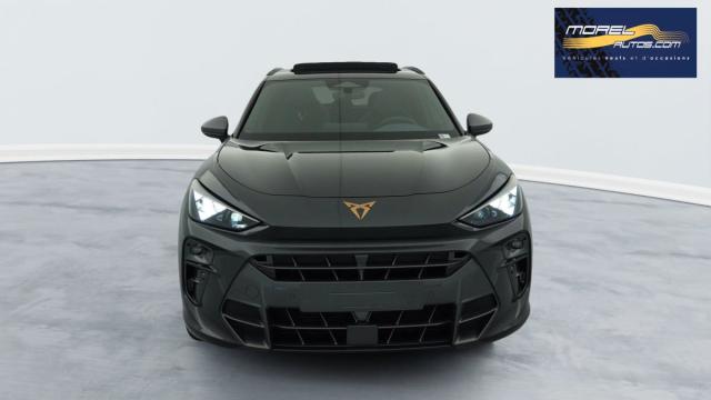 Cupra Terramar image 3
