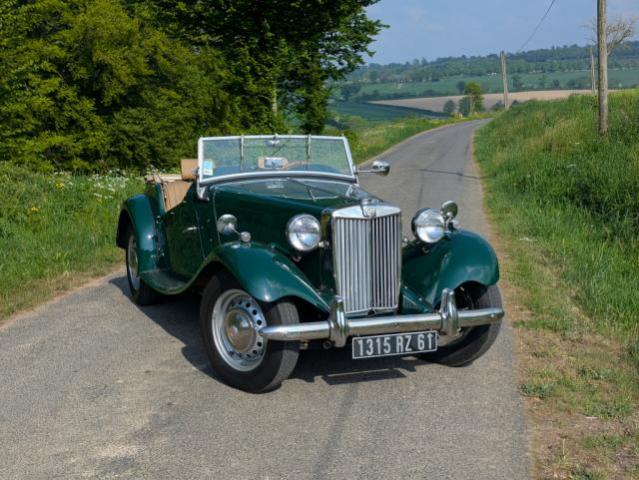Mg Td image 3