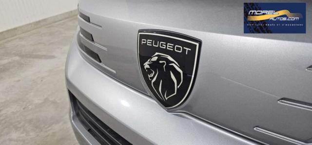 Peugeot Traveller image 1