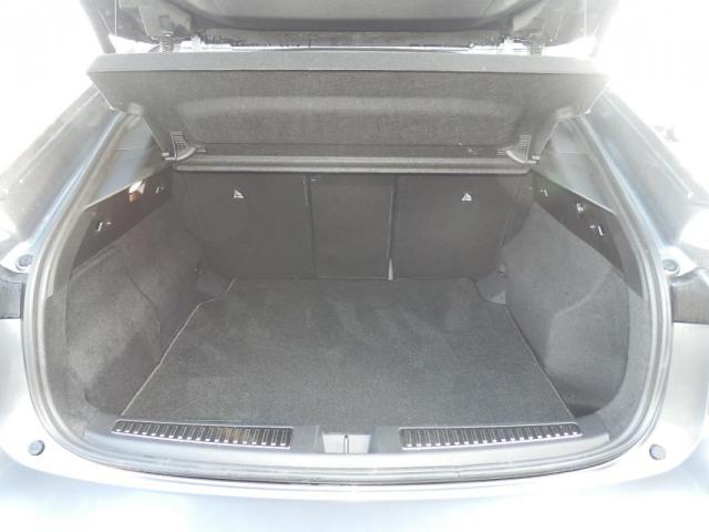 Renault Rafale image 9