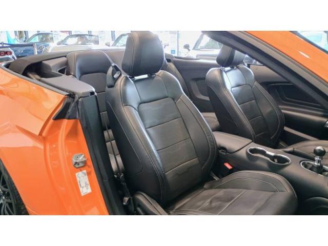 Ford Mustang image 3