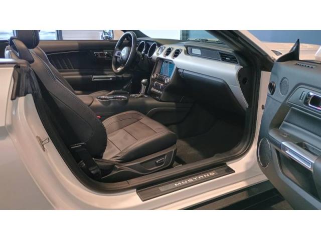 Ford Mustang image 1
