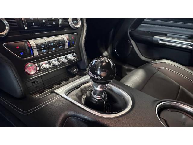 Ford Mustang image 2