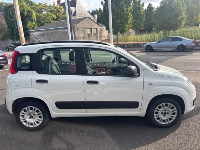 Fiat Panda image 5