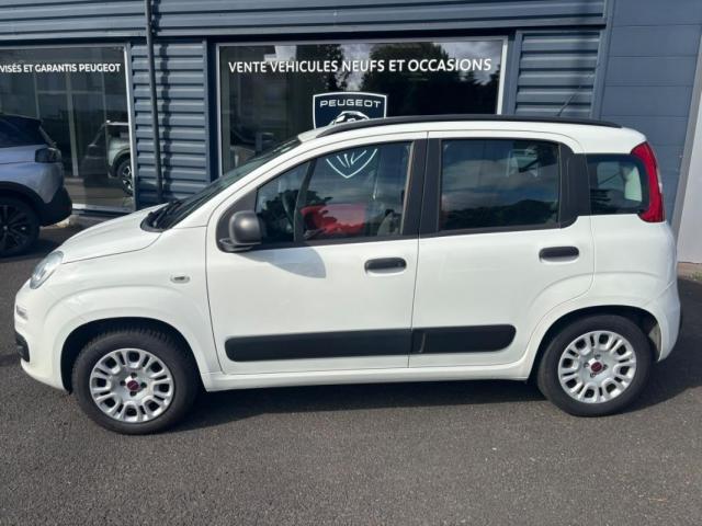 Fiat Panda image 6
