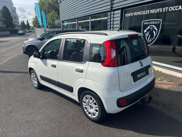 Fiat Panda image 1