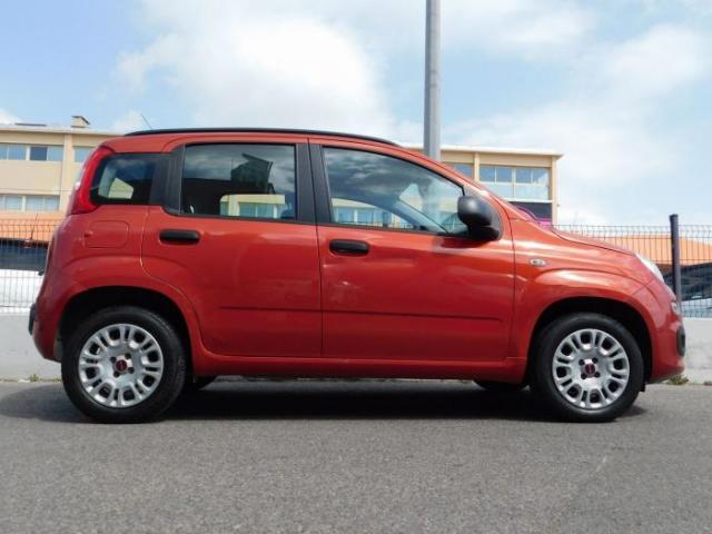 Fiat Panda image 4