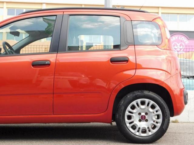 Fiat Panda image 2