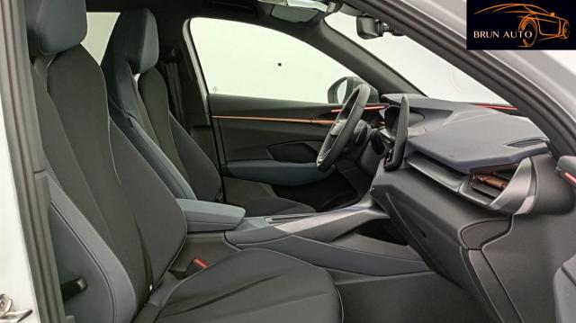 Cupra Terramar image 4