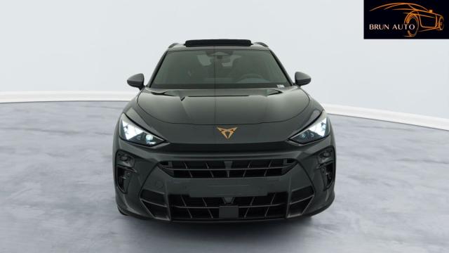 Cupra Terramar image 1