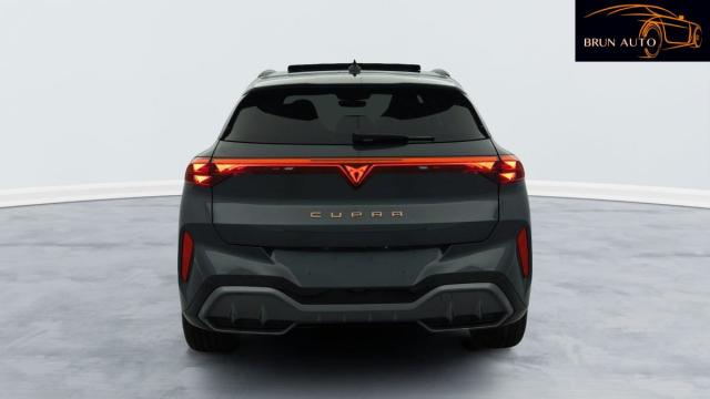 Cupra Terramar image 2