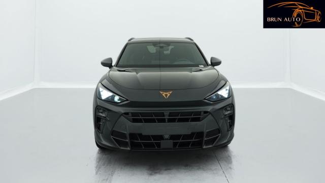 Cupra Terramar image 8