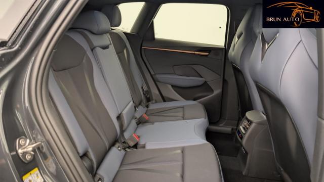 Cupra Terramar image 1