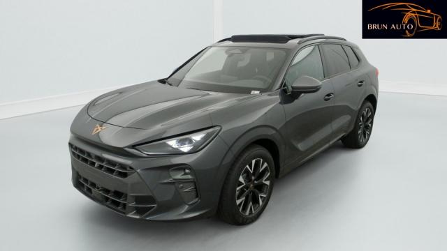 Cupra Terramar image 8
