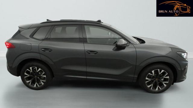 Cupra Terramar image 3