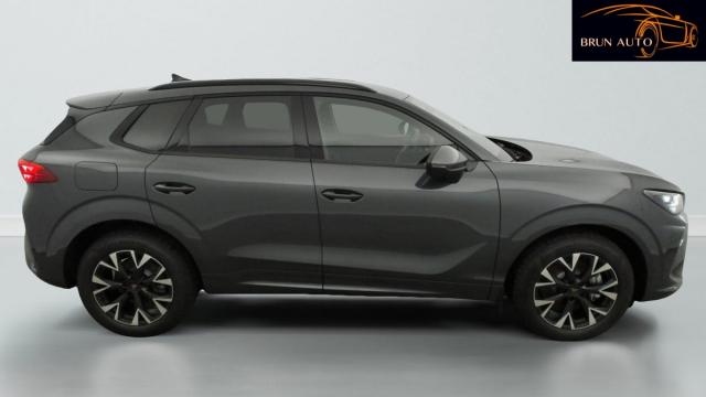 Cupra Terramar image 9