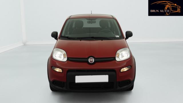Fiat Panda image 7