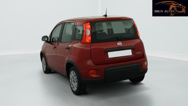Fiat Panda image 3
