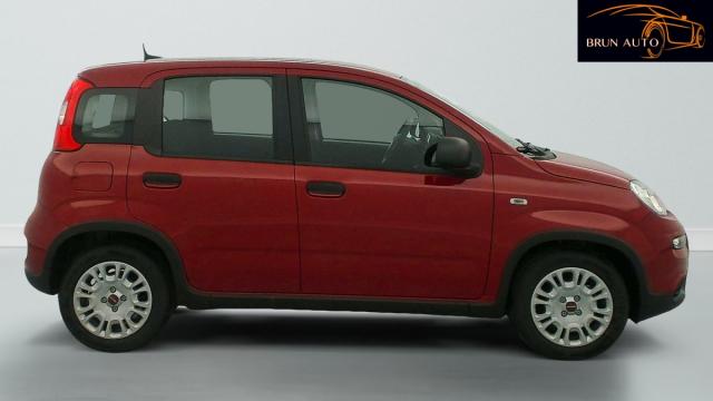 Fiat Panda image 2