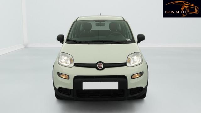 Fiat Panda image 5