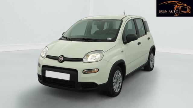 Fiat Panda image 6