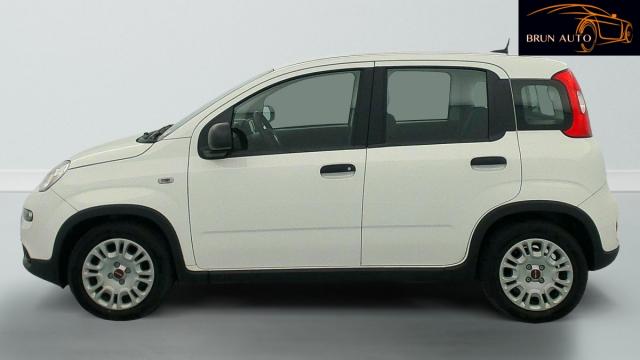 Fiat Panda image 7