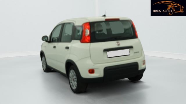 Fiat Panda image 3
