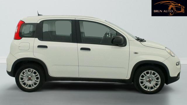 Fiat Panda image 4